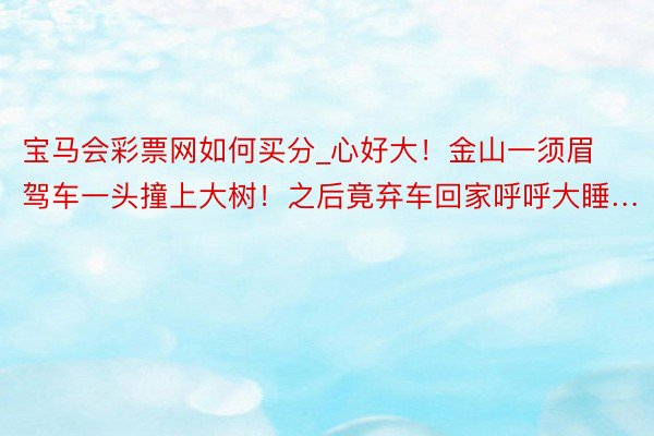 宝马会彩票网如何买分_心好大！金山一须眉驾车一头撞上大树！之后竟弃车回家呼呼大睡…