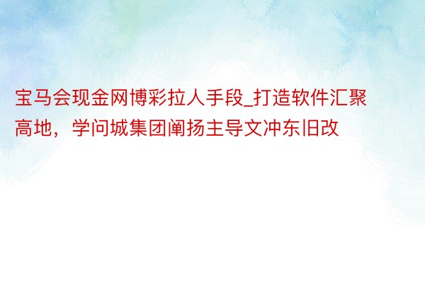 宝马会现金网博彩拉人手段_打造软件汇聚高地，学问城集团阐扬主导文冲东旧改