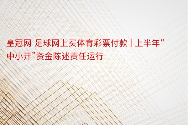 皇冠网 足球网上买体育彩票付款 | 上半年“中小开”资金陈述责任运行