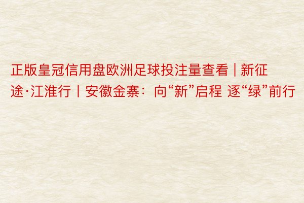 正版皇冠信用盘欧洲足球投注量查看 | 新征途·江淮行丨安徽金寨：向“新”启程 逐“绿”前行