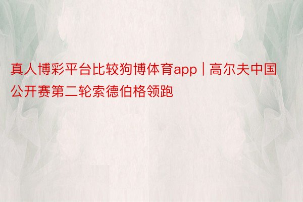 真人博彩平台比较狗博体育app | 高尔夫中国公开赛第二轮索德伯格领跑