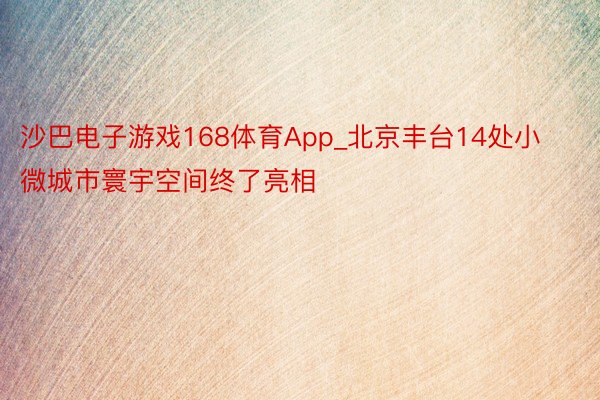 沙巴电子游戏168体育App_北京丰台14处小微城市寰宇空间终了亮相