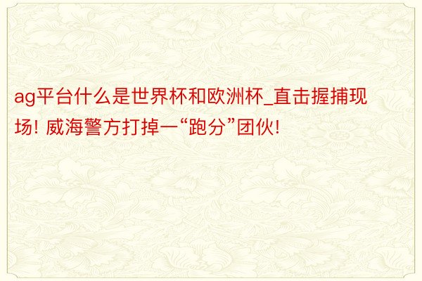 ag平台什么是世界杯和欧洲杯_直击握捕现场! 威海警方打掉一“跑分”团伙!