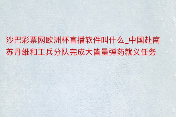 沙巴彩票网欧洲杯直播软件叫什么_中国赴南苏丹维和工兵分队完成大皆量弹药就义任务